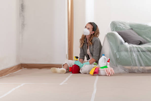 Reliable Mold Remediation contractor in Garrett, TX by WQB Mold Removal